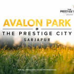 Prestige City Avalon Park